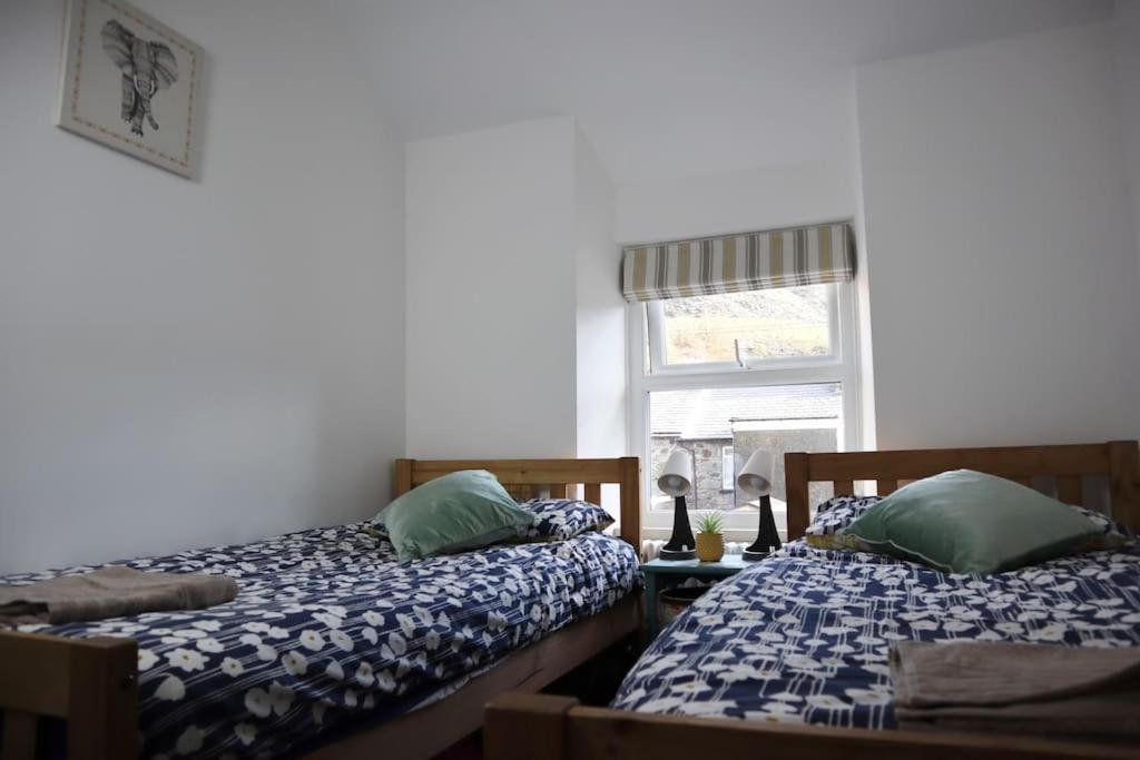 Dol Bach - Your Homely Welsh Cottage In The Heart Of Snowdonia Blaenau Ffestiniog ภายนอก รูปภาพ