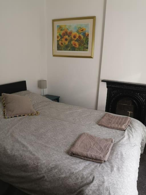 Dol Bach - Your Homely Welsh Cottage In The Heart Of Snowdonia Blaenau Ffestiniog ภายนอก รูปภาพ